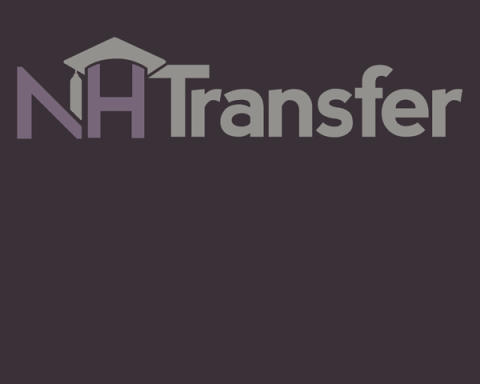 NH Transfer for decoration only